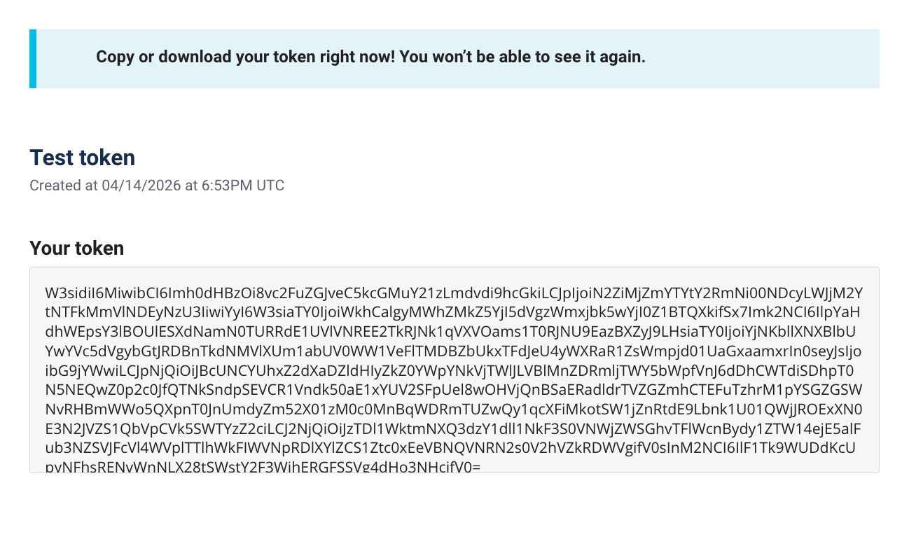 Screenshot of token displayed on screen in sandbox